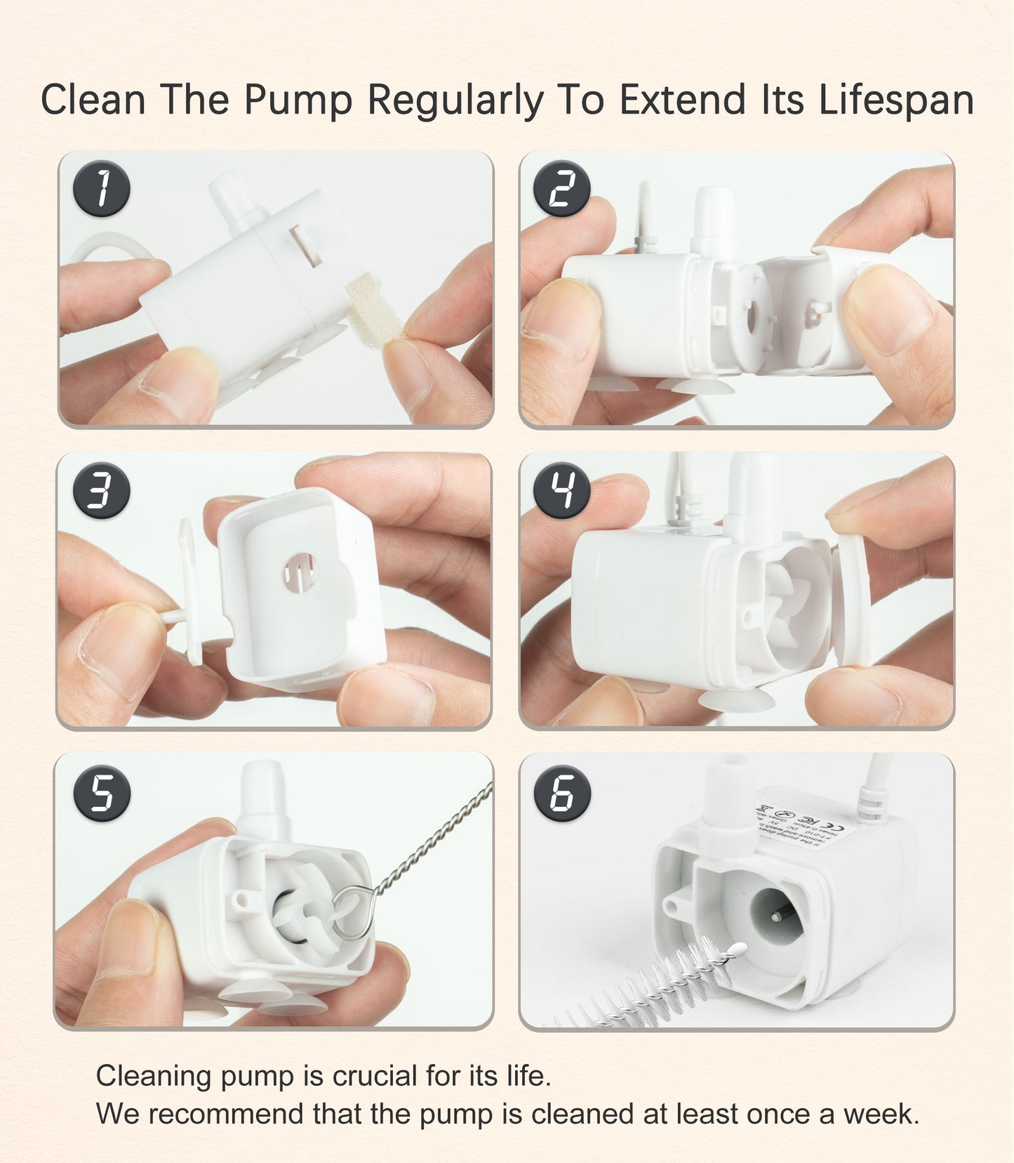 How to clean and maintain your HAPUP cat water fountain pump – step-by-step guide for keeping your pump in top condition