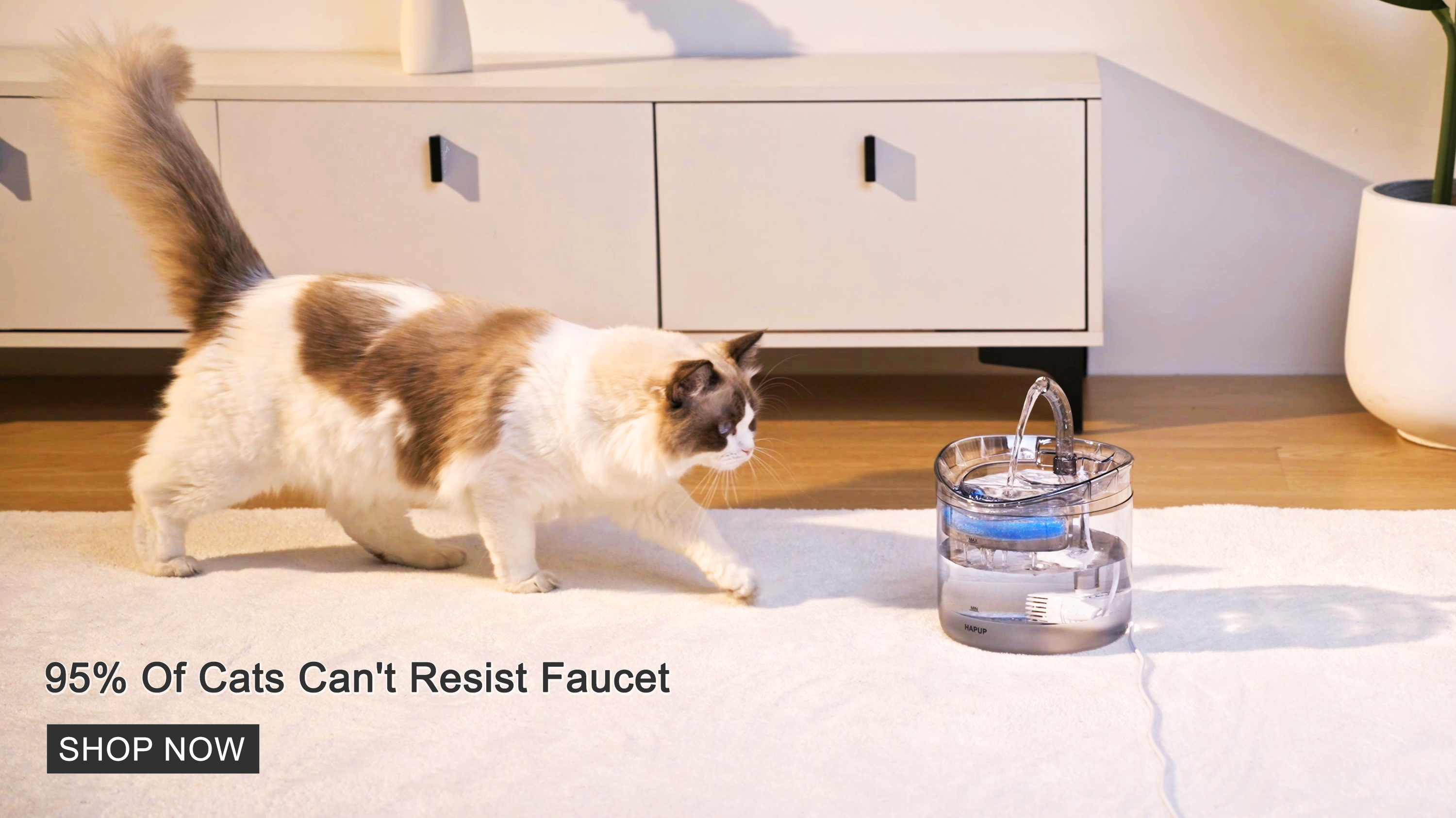HAPUP Automatic Pet Fountain WF060, best cat water fountain.