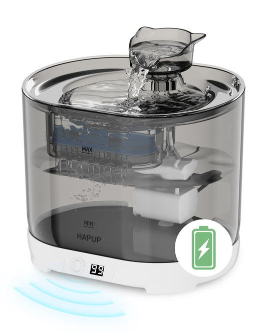 The best pet fountain for continuous hydration, featuring a sleek design and quiet operation.