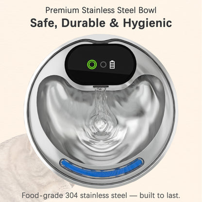 Stainless steel cat bowl for hygienic drinking, best cat fountain design