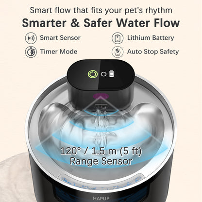 Wireless cat water fountain with motion sensor and timer modes