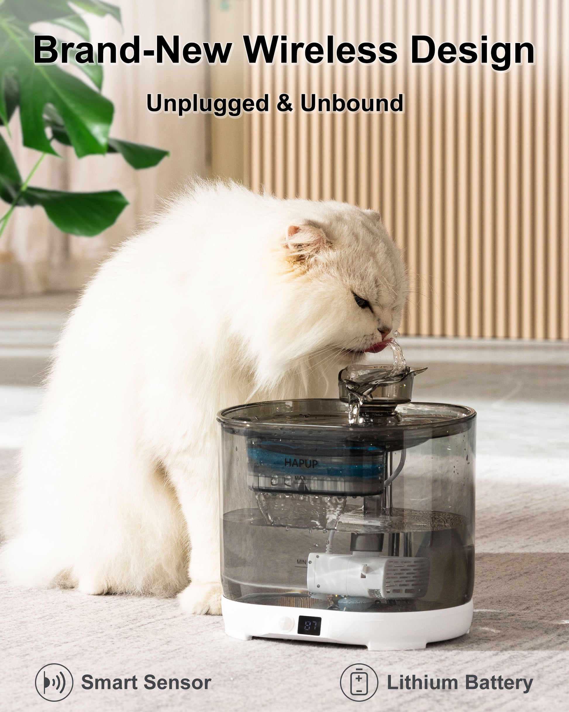 Key features of the smart pet water fountain, including battery operation and adjustable flow modes.