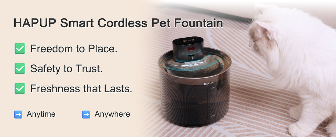 HAPUP W080 cordless smart cat water fountain video